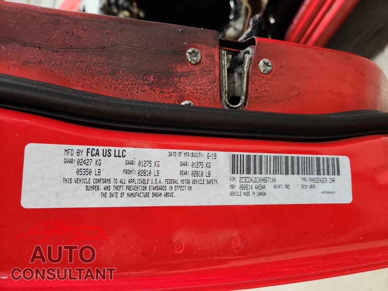 DODGE CHARGER 2019 - 2C3CDXJG1KH667104