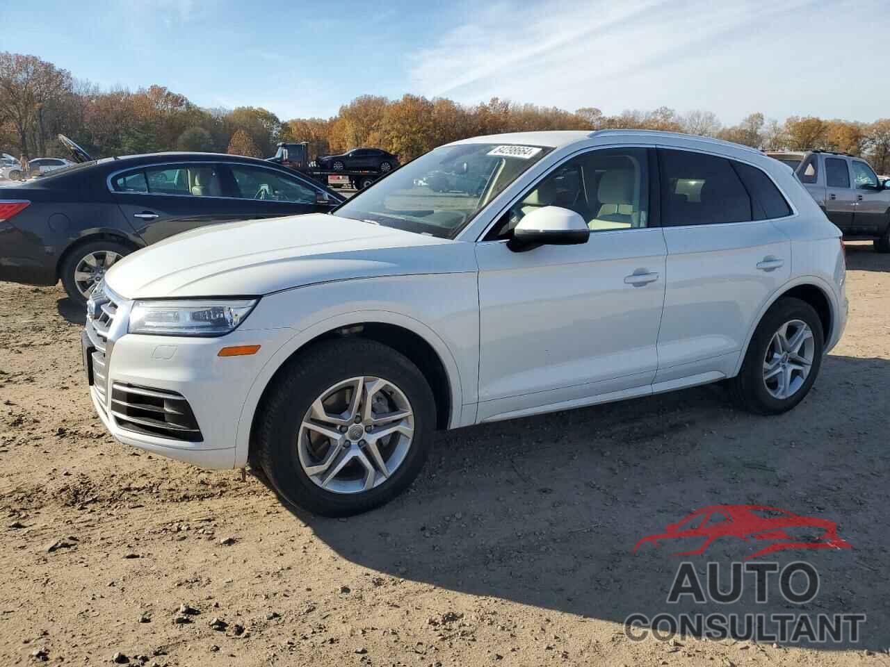 AUDI Q5 2019 - WA1ANAFY8K2118758