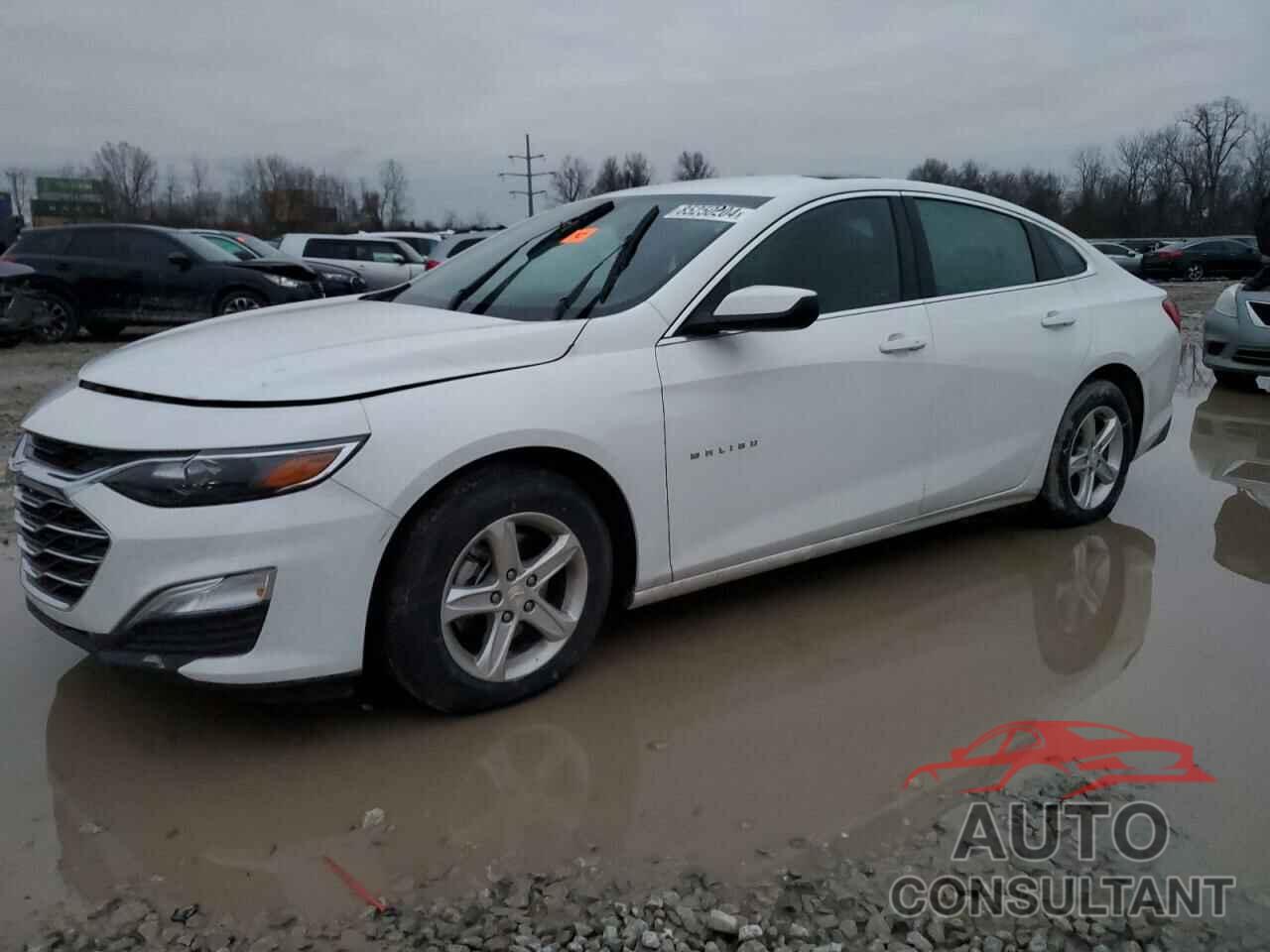 CHEVROLET MALIBU 2024 - 1G1ZC5ST5RF198659