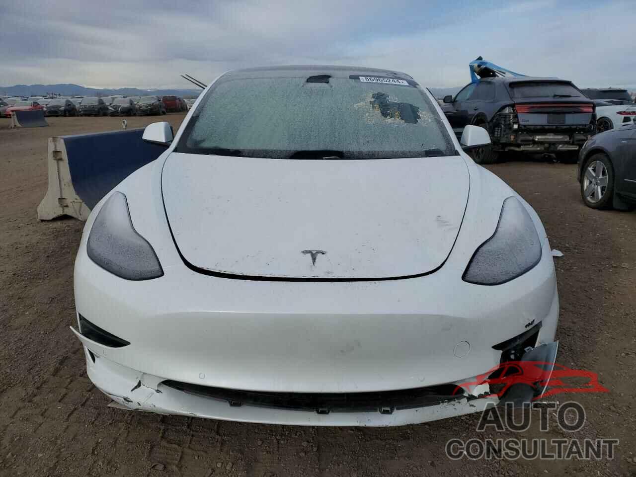 TESLA MODEL 3 2021 - 5YJ3E1EA2MF995054