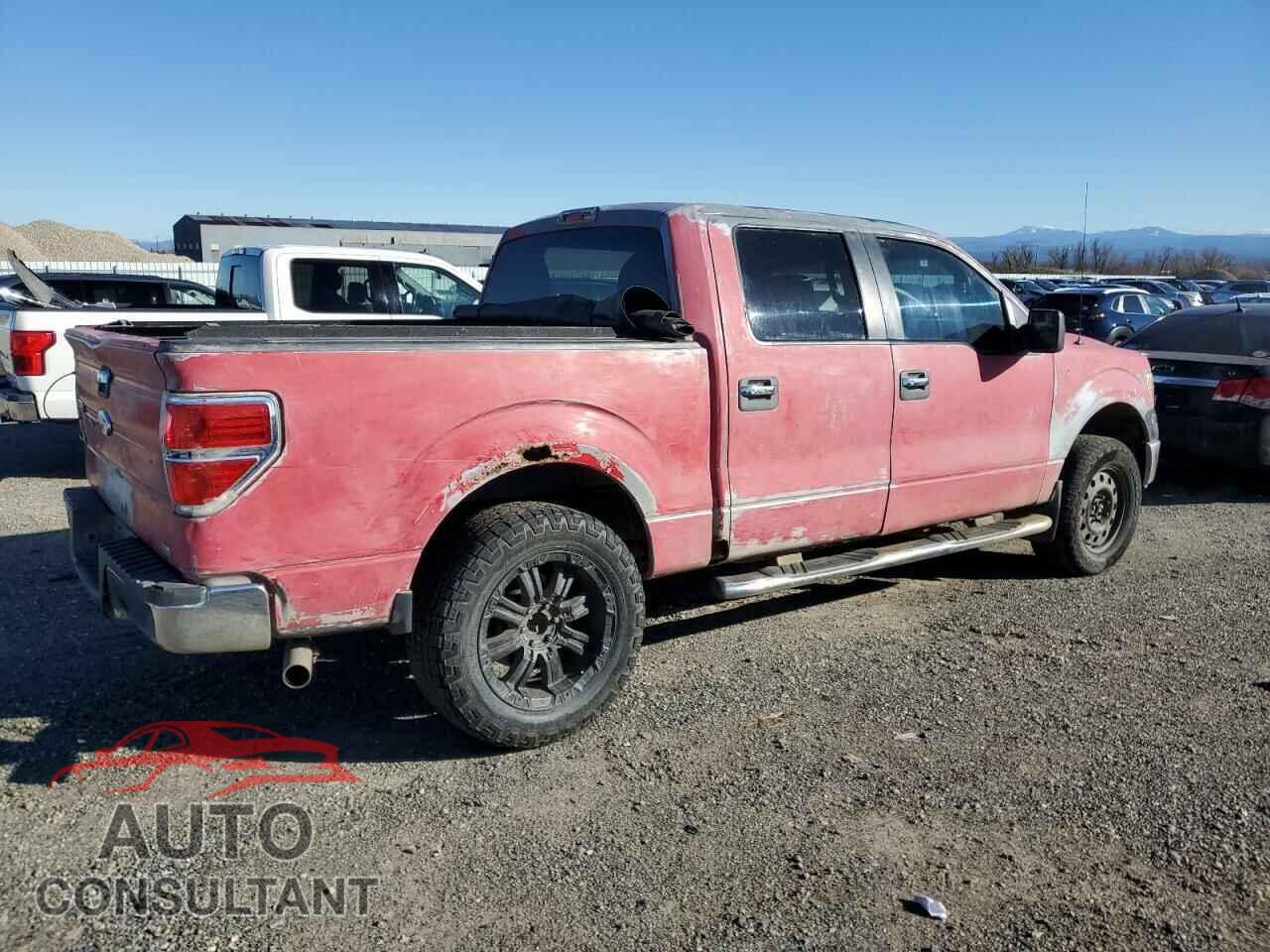 FORD F-150 2010 - 1FTFW1EV6AFA94497