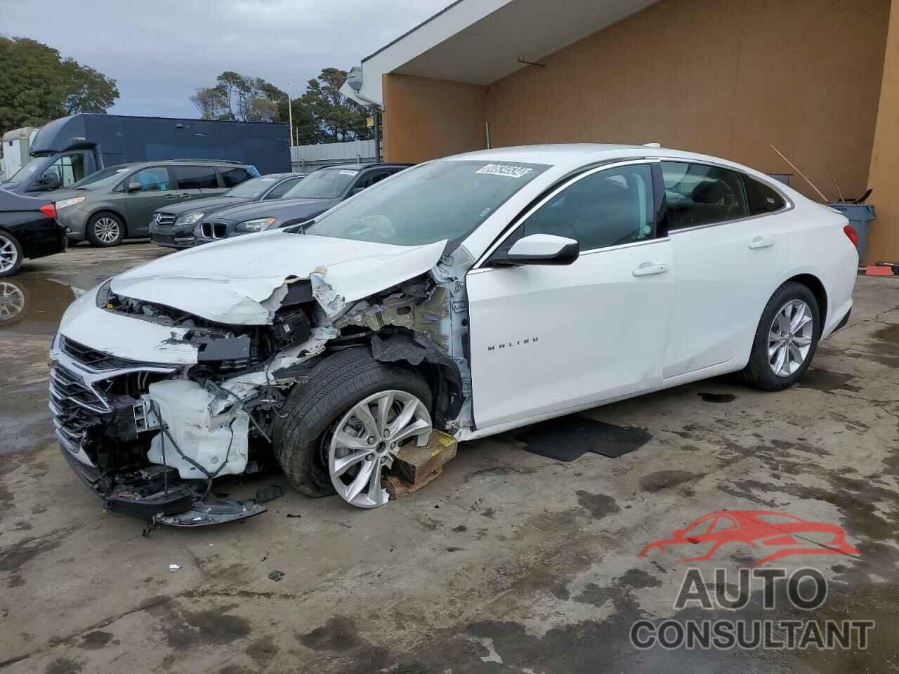CHEVROLET MALIBU 2024 - 1G1ZD5ST1RF111496