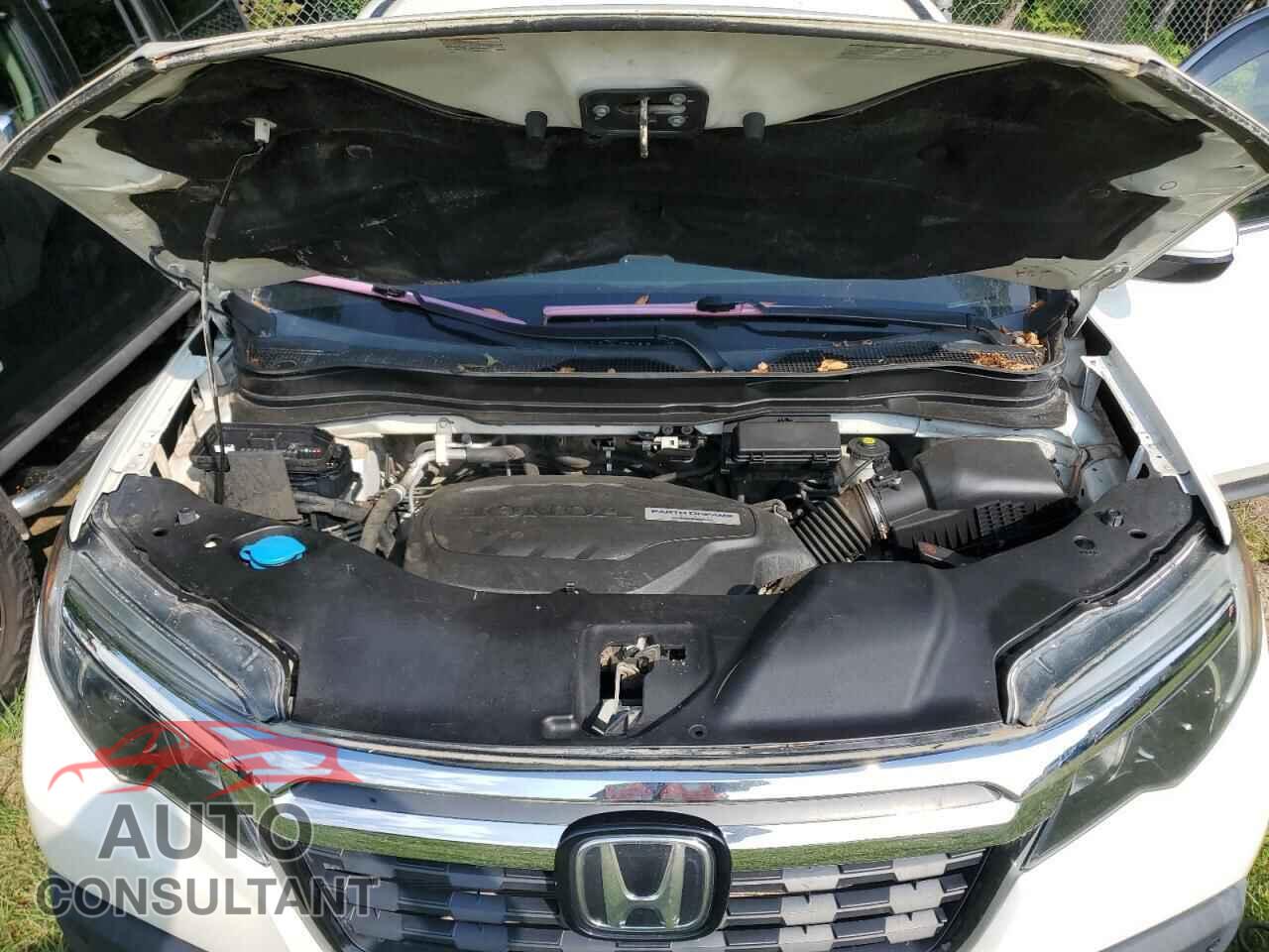 HONDA RIDGELINE 2017 - 5FPYK3F76HB030062