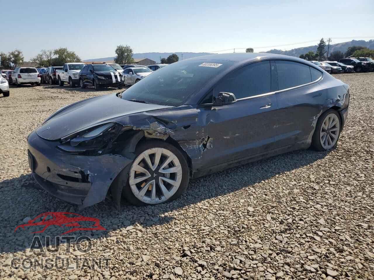 TESLA MODEL 3 2021 - 5YJ3E1EA0MF093986