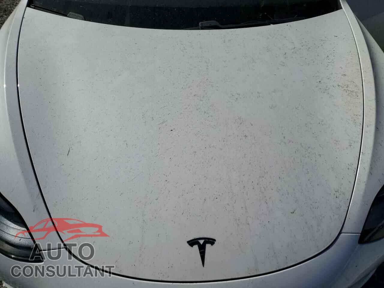 TESLA MODEL 3 2021 - 5YJ3E1EA0MF976356