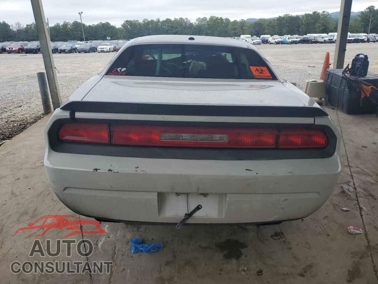 DODGE CHALLENGER 2010 - 2B3CJ5DTXAH314460