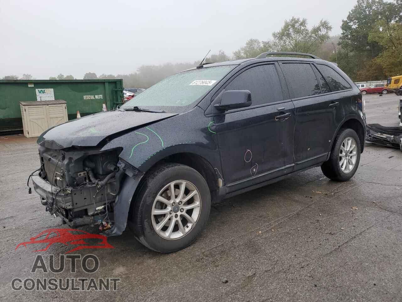 FORD EDGE 2009 - 2FMDK48C59BA86561