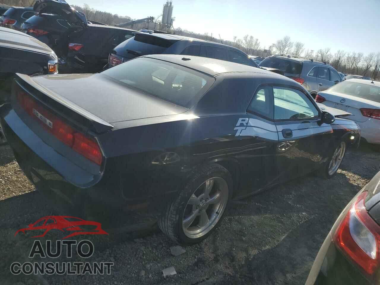 DODGE CHALLENGER 2010 - 2B3CJ5DT3AH215964
