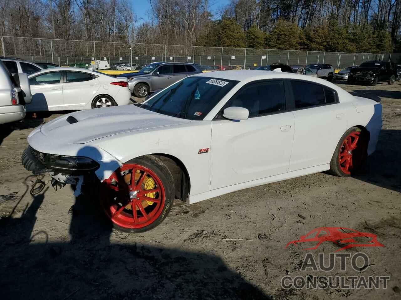DODGE CHARGER 2019 - 2C3CDXGJ5KH706702