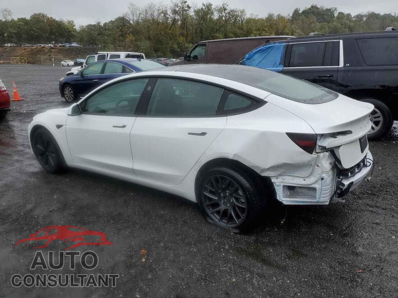TESLA MODEL 3 2024 - 5YJ3E1EA5RF728546