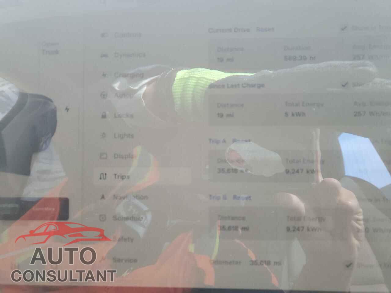 TESLA MODEL Y 2023 - 7SAYGDEEXPF798712