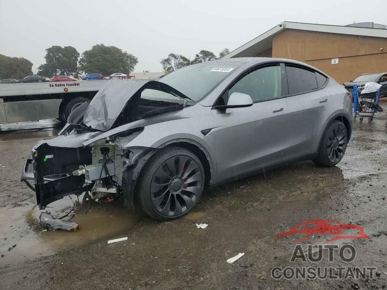 TESLA MODEL Y 2025 - 7SAYGDEF8SF264738