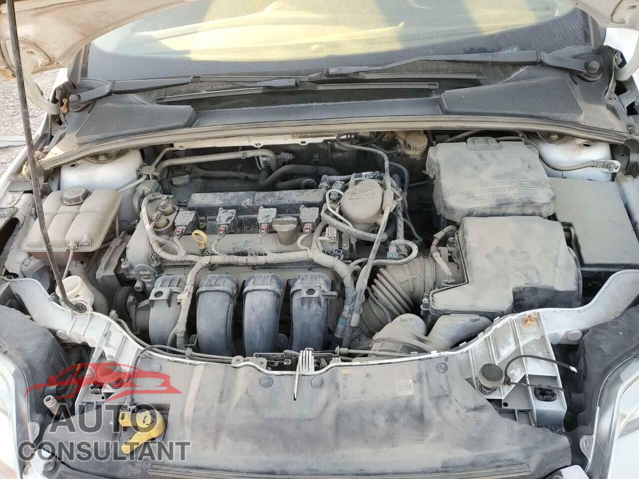 FORD FOCUS 2013 - 1FADP3F28DL302542