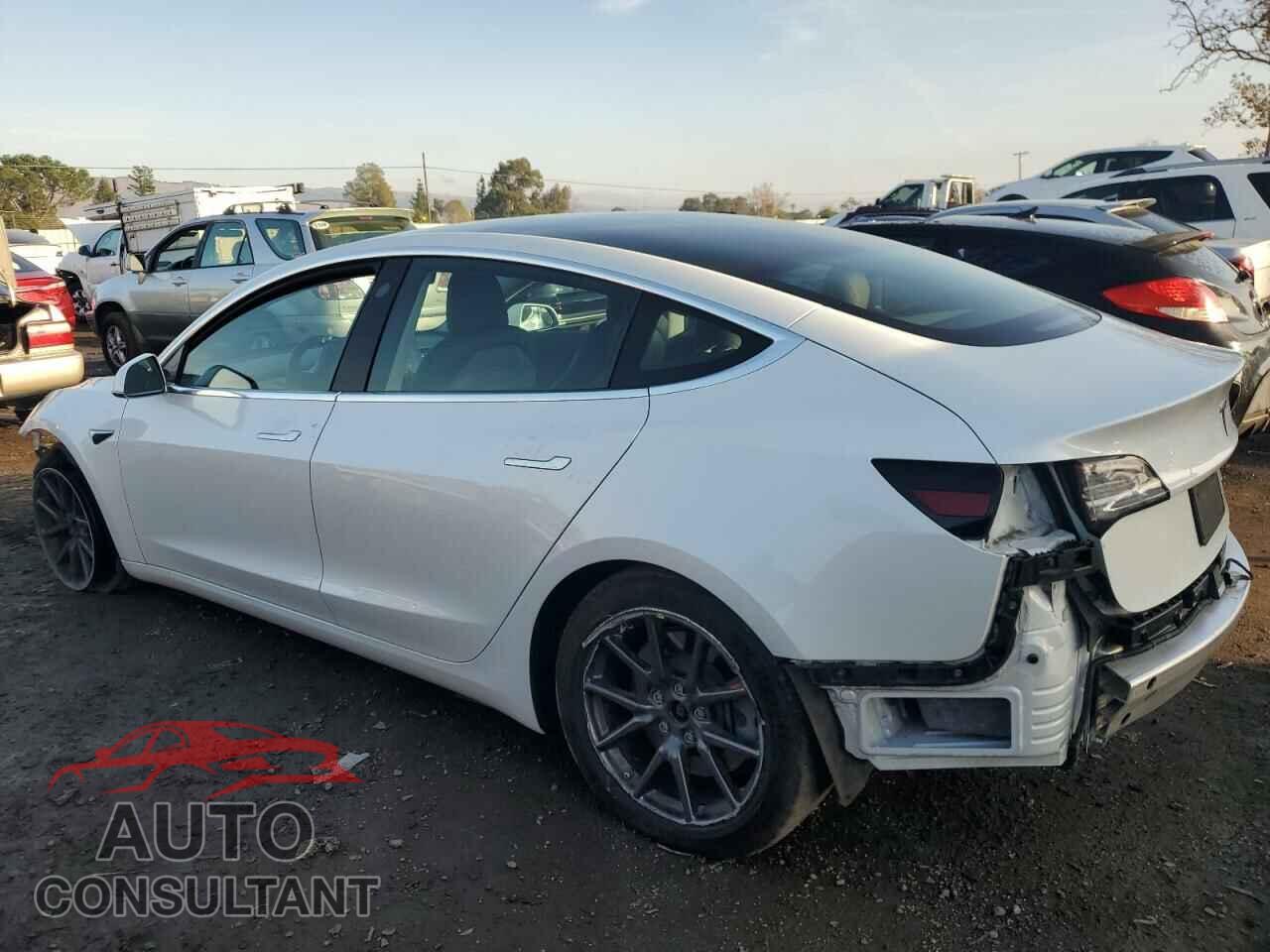 TESLA MODEL 3 2019 - 5YJ3E1EB1KF511882