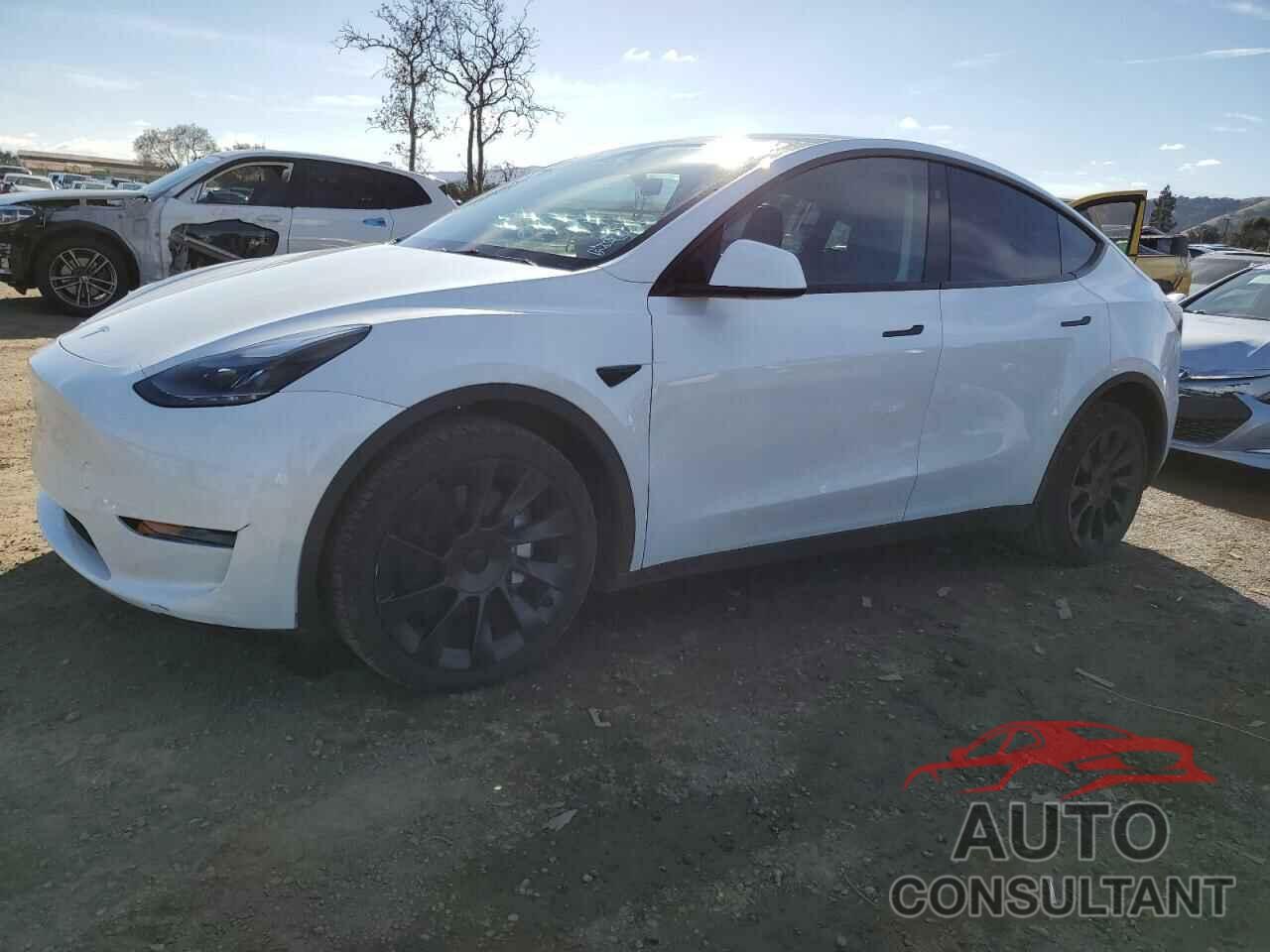 TESLA MODEL Y 2024 - 7SAYGAEE3RF043712