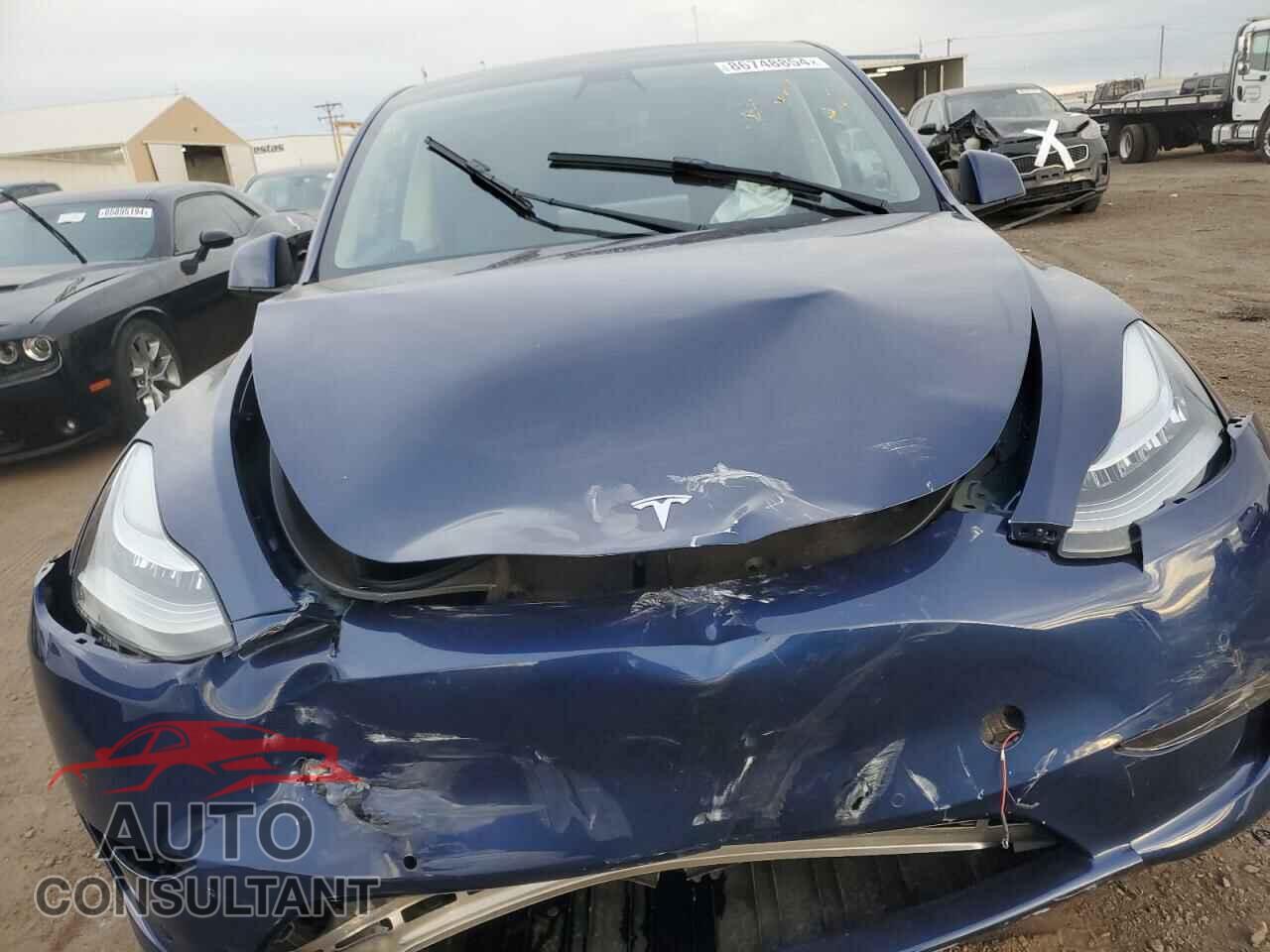 TESLA MODEL Y 2022 - 7SAYGDEE1NF442193