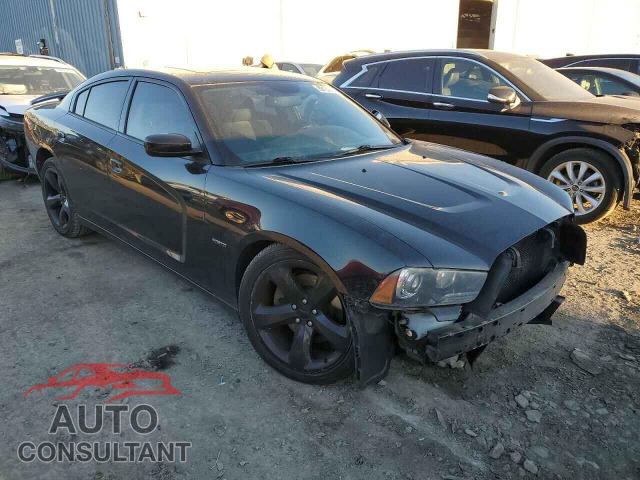 DODGE CHARGER 2014 - 2C3CDXCT7EH113595