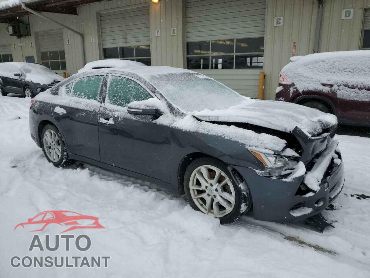NISSAN MAXIMA 2009 - 1N4AA51E19C858992