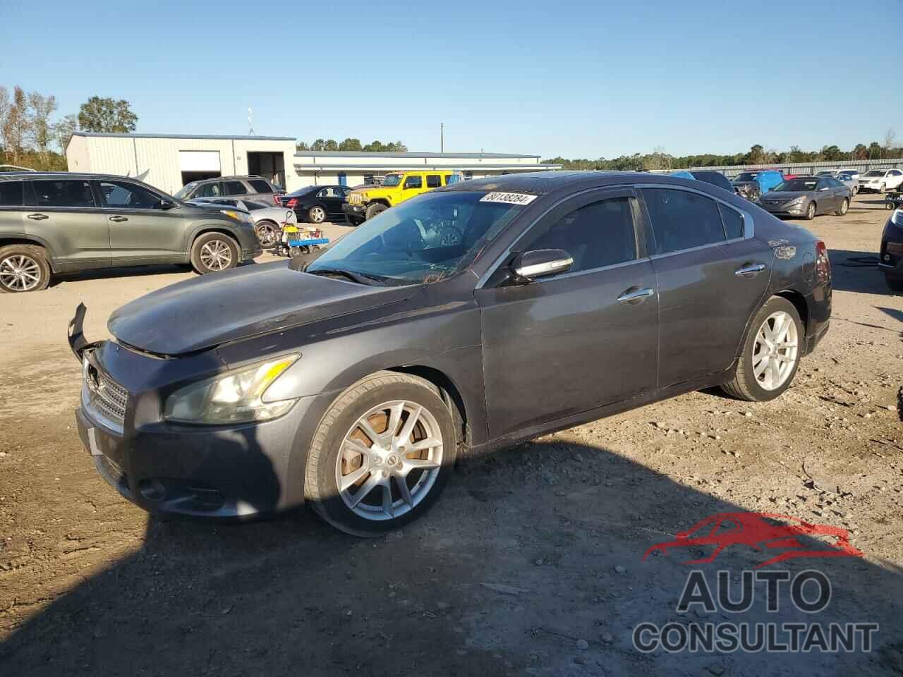 NISSAN MAXIMA 2011 - 1N4AA5AP0BC842337