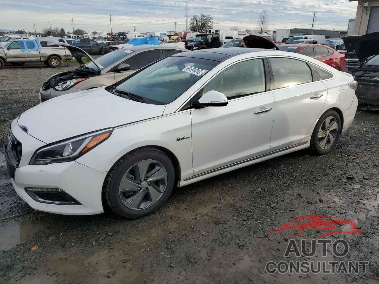 HYUNDAI SONATA 2016 - KMHE34L10GA033895