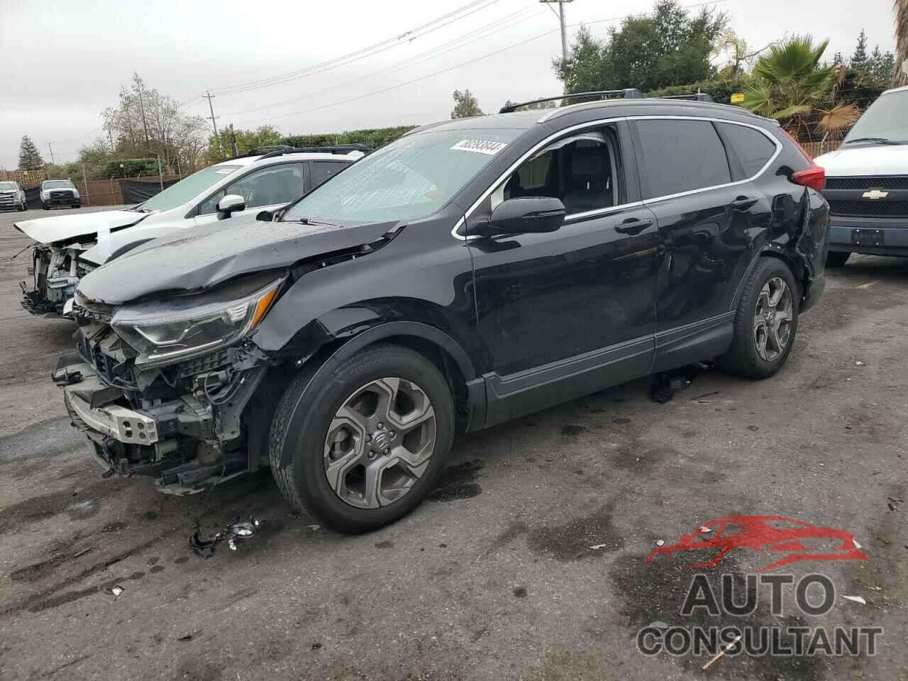 HONDA CRV 2019 - 5J6RW1H81KA011716