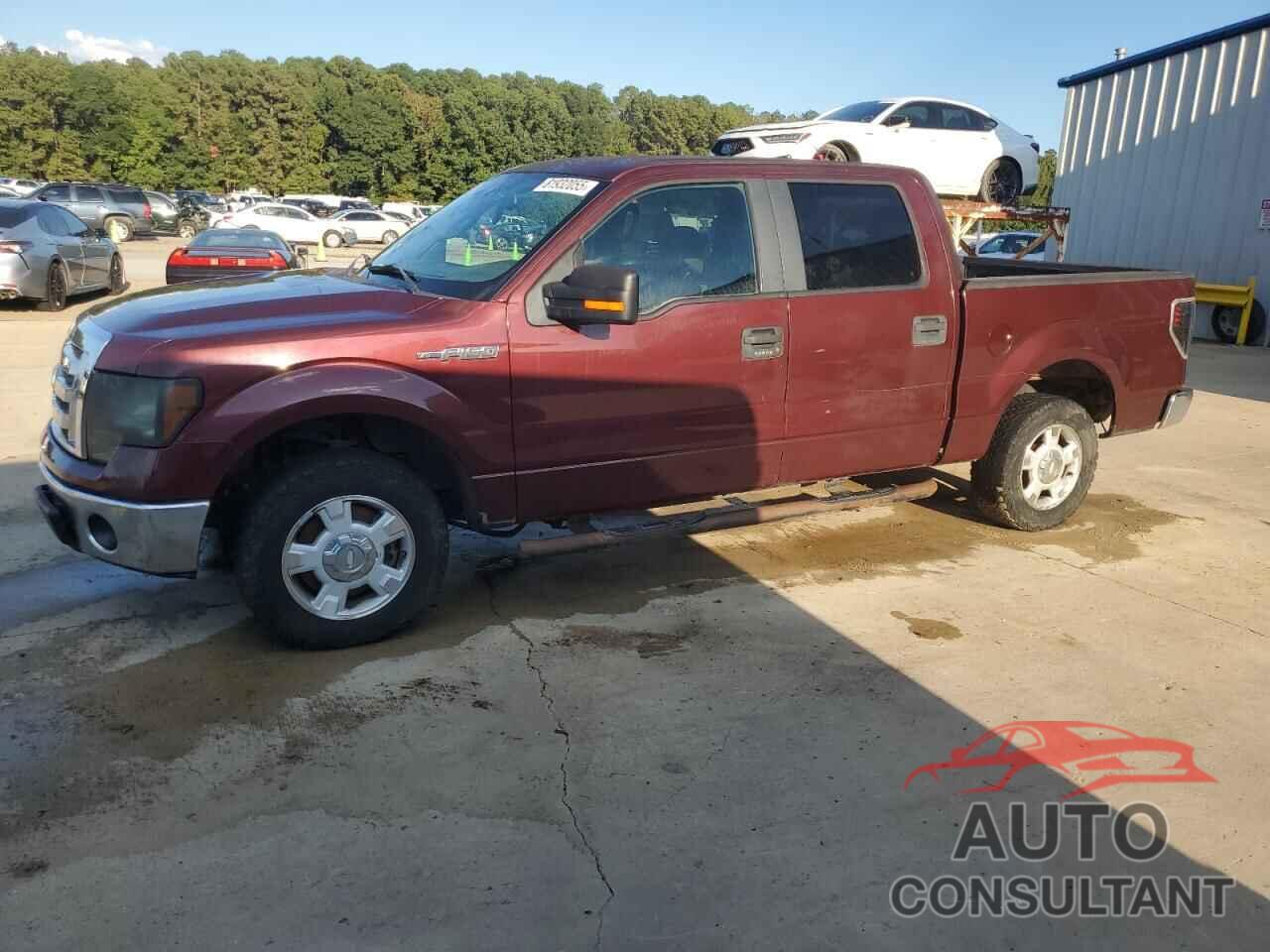 FORD F-150 2010 - 1FTEW1C88AFA36478