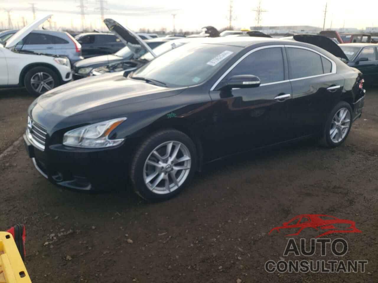 NISSAN MAXIMA 2009 - 1N4AA51E69C846255