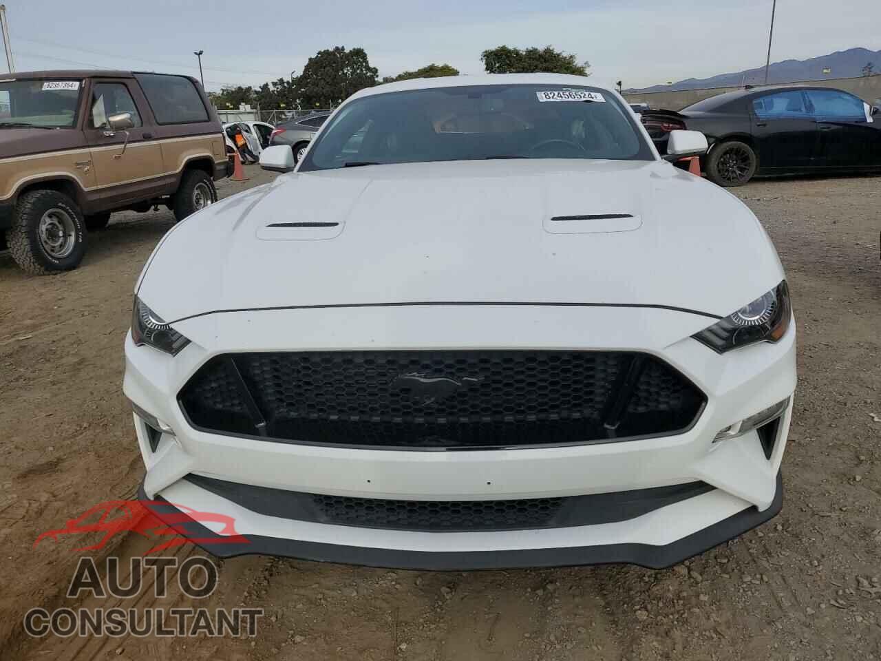 FORD MUSTANG 2019 - 1FA6P8CF8K5158098