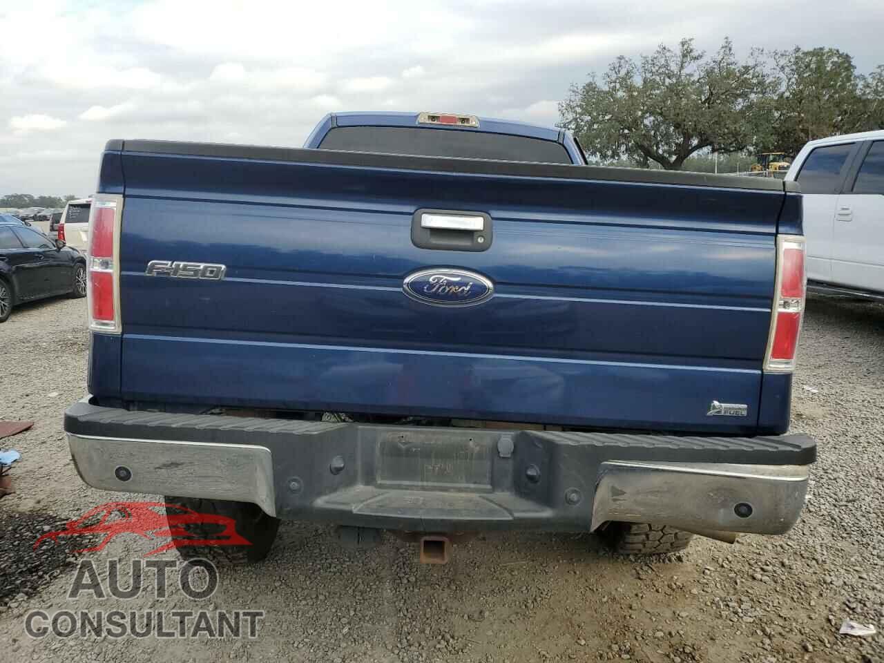 FORD F-150 2010 - 1FTFX1EV9AFC81133