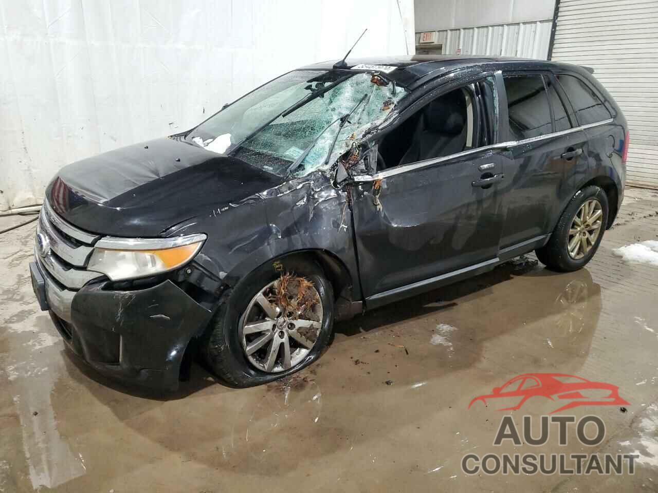 FORD EDGE 2011 - 2FMDK4KC3BBA84466