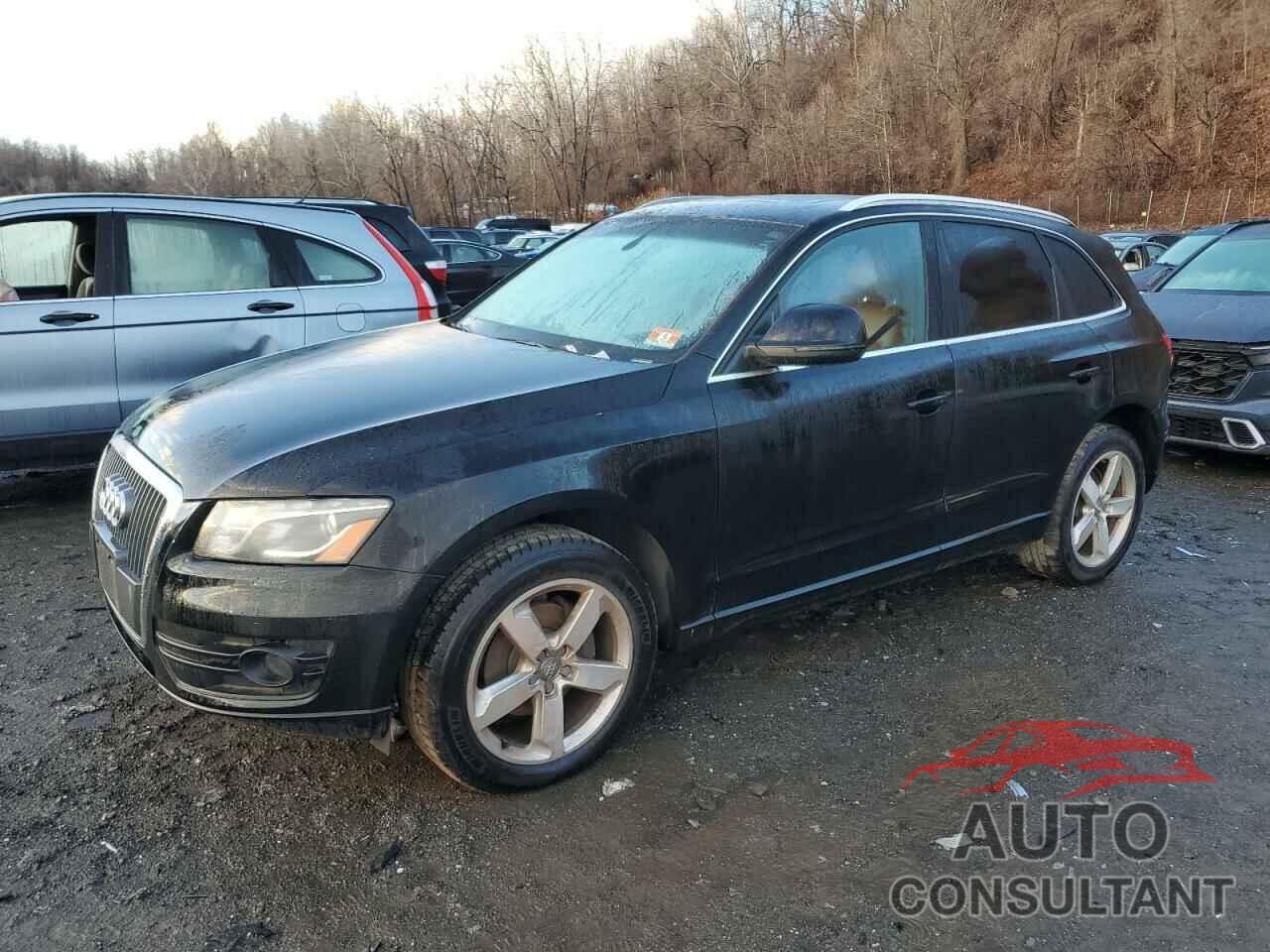 AUDI Q5 2011 - WA1LFAFP4BA109901