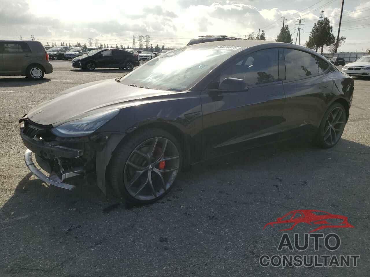 TESLA MODEL 3 2019 - 5YJ3E1EB6KF388841