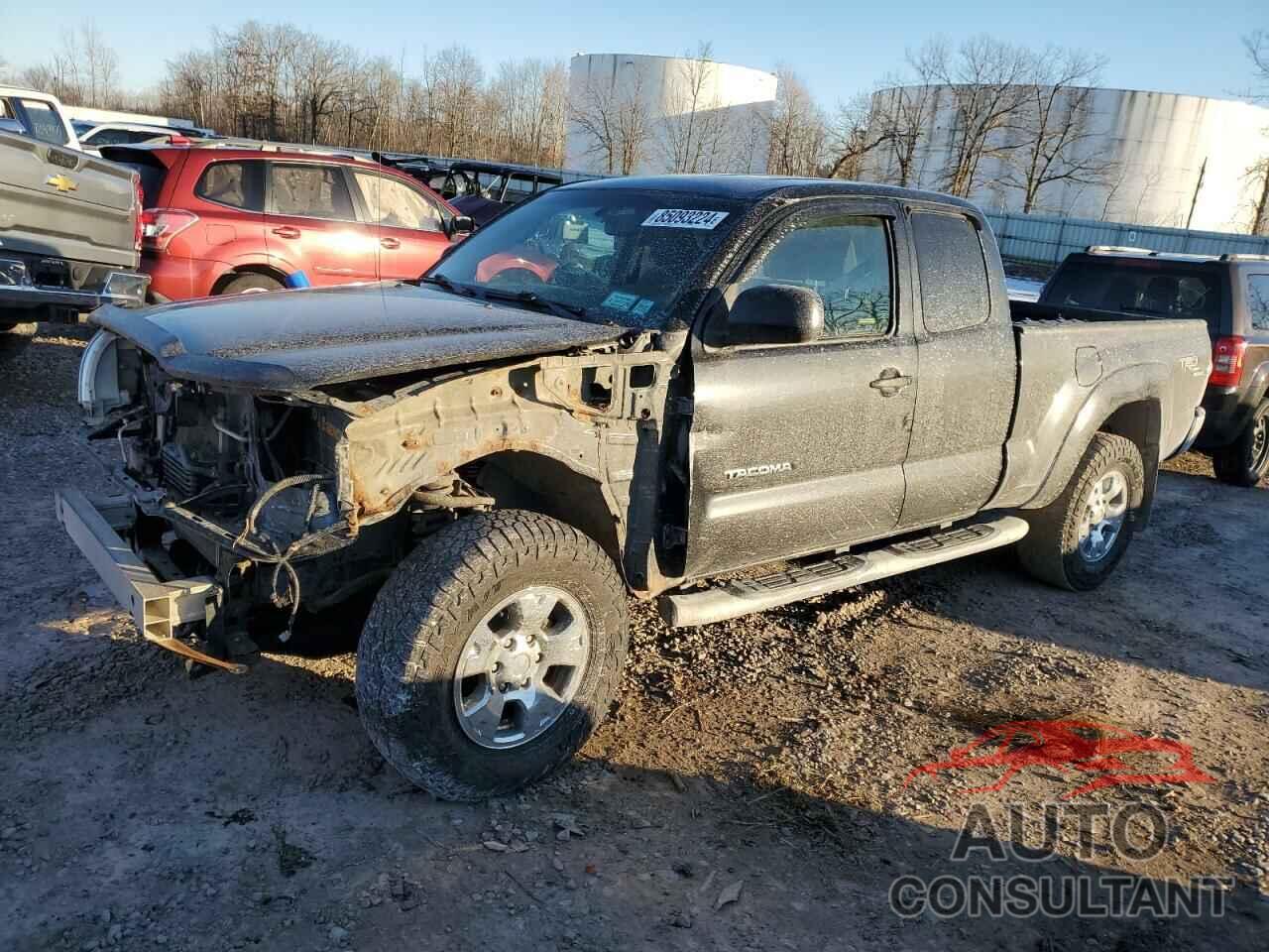 TOYOTA TACOMA 2009 - 5TEUU42N89Z592752