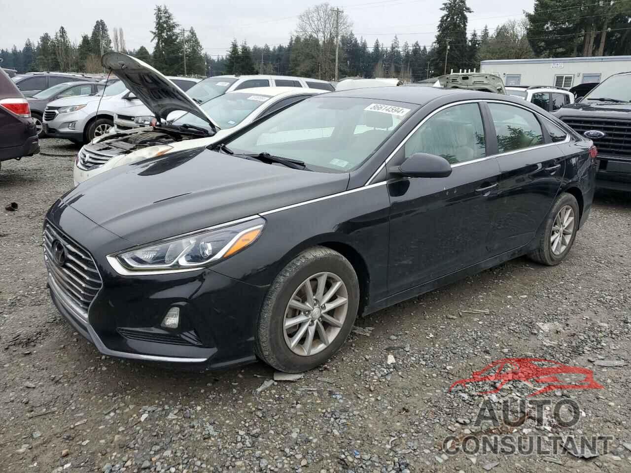 HYUNDAI SONATA 2018 - 5NPE24AF5JH660341