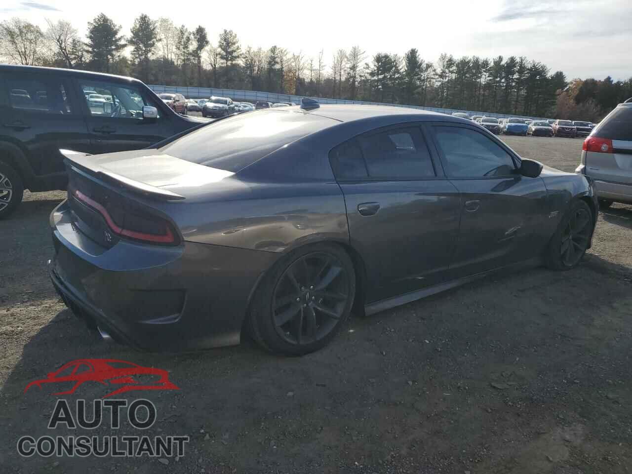 DODGE CHARGER 2019 - 2C3CDXGJ3KH756885