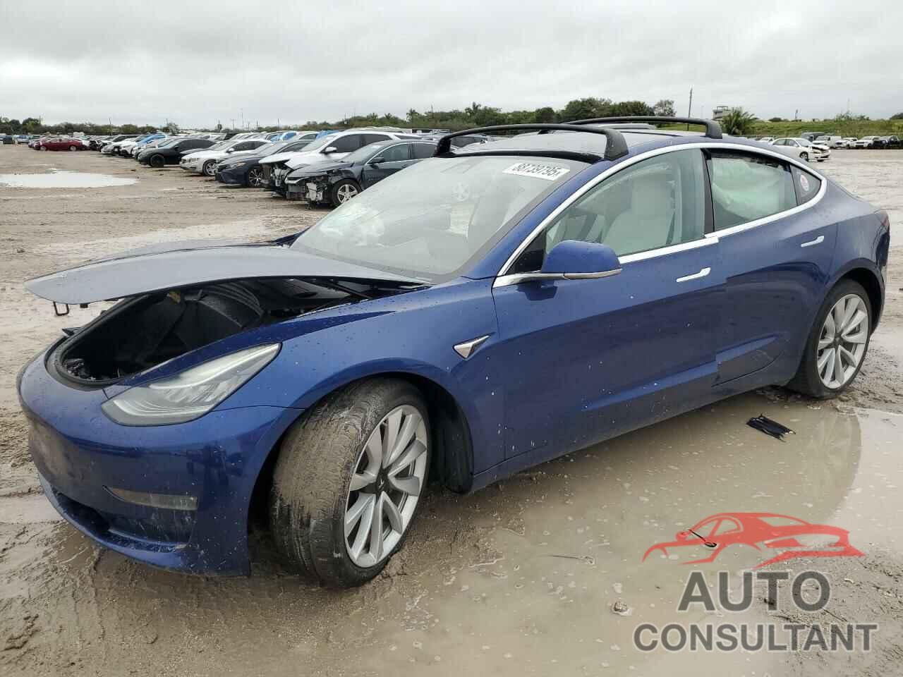 TESLA MODEL 3 2019 - 5YJ3E1EB5KF482337