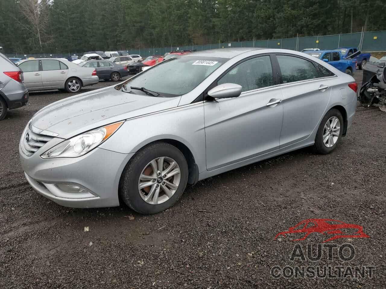 HYUNDAI SONATA 2013 - 5NPEB4AC3DH716383