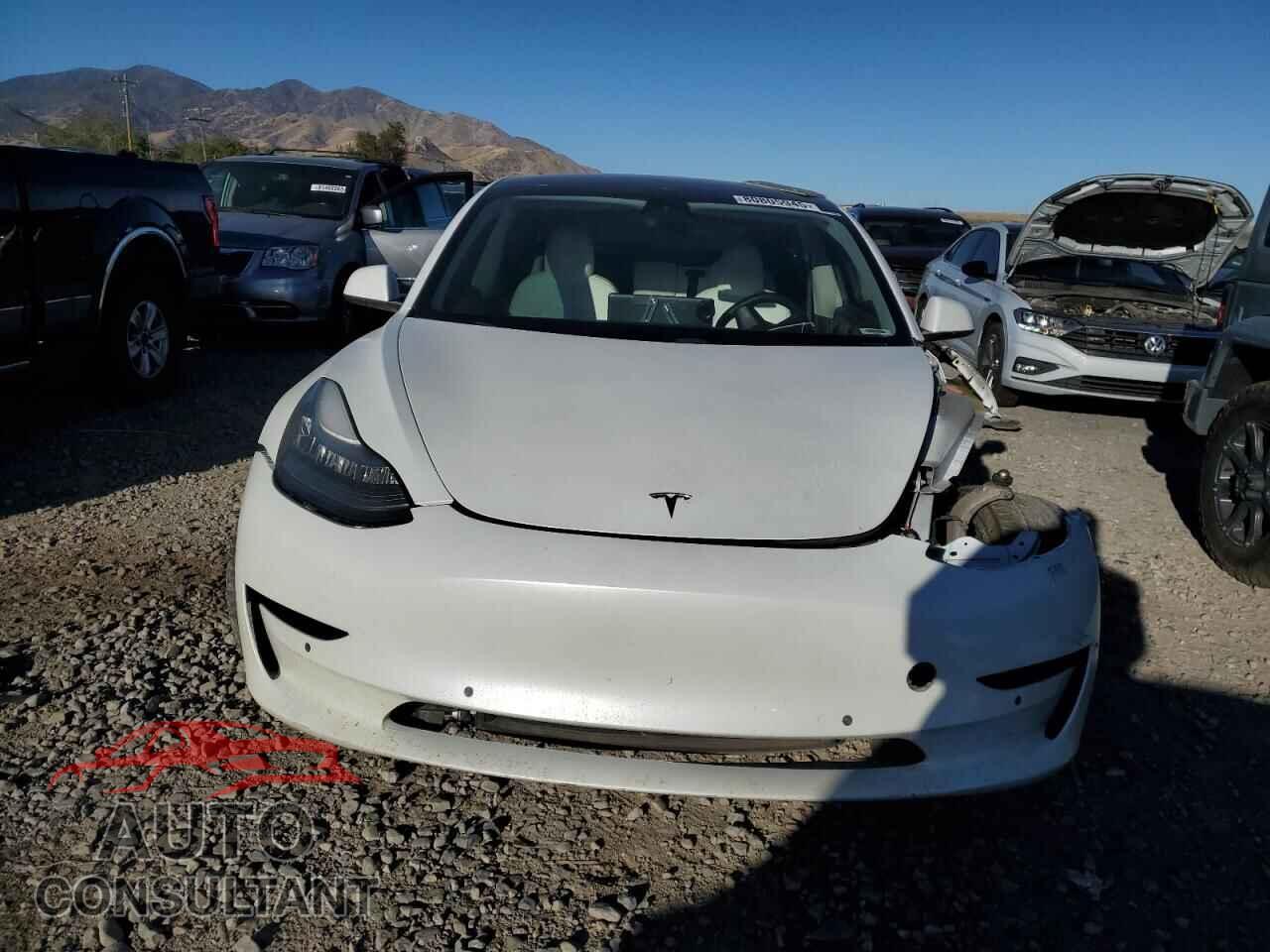 TESLA MODEL 3 2020 - 5YJ3E1EC3LF742454