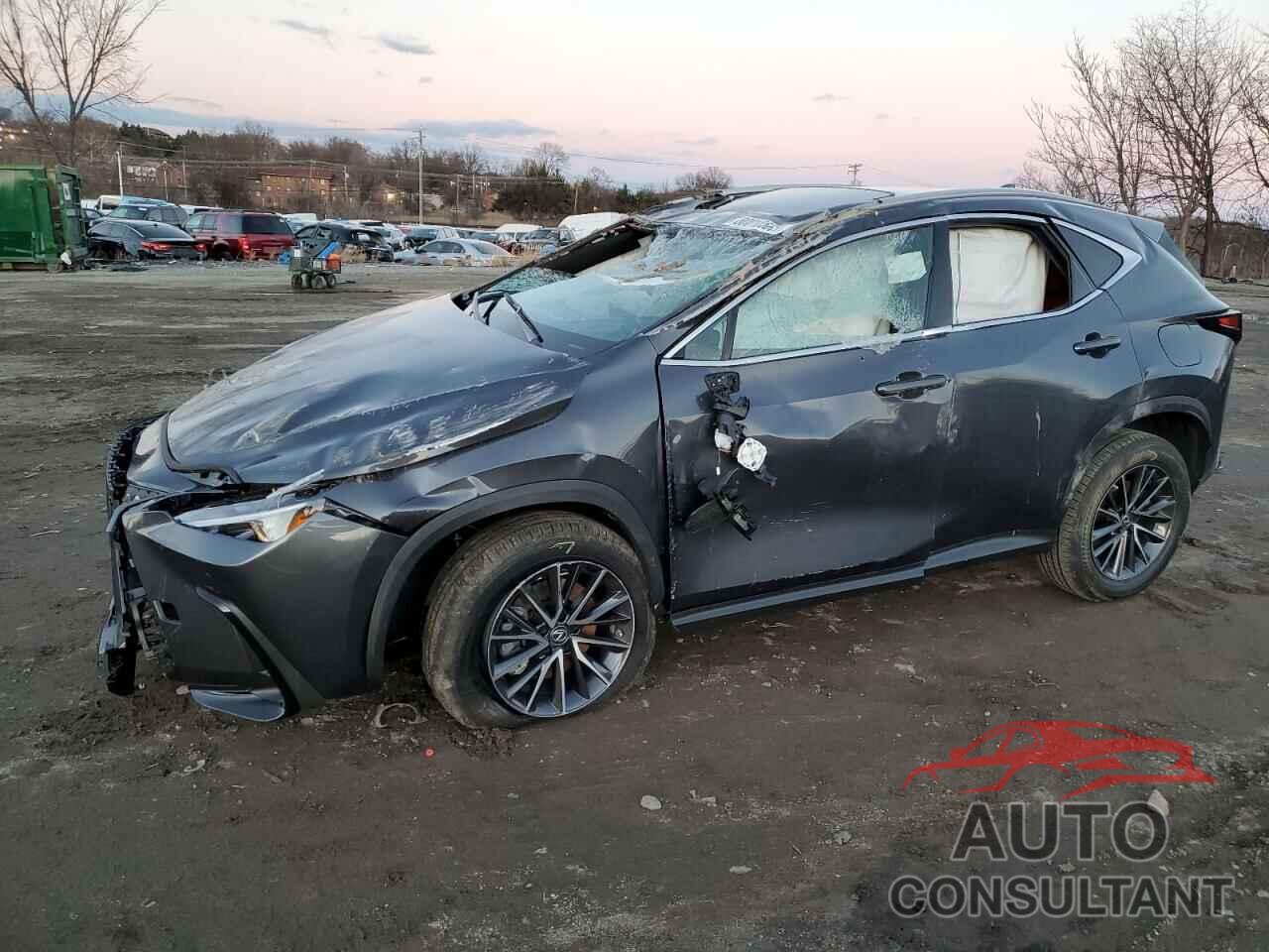 LEXUS NX 350 2023 - 2T2GGCEZ4PC027507