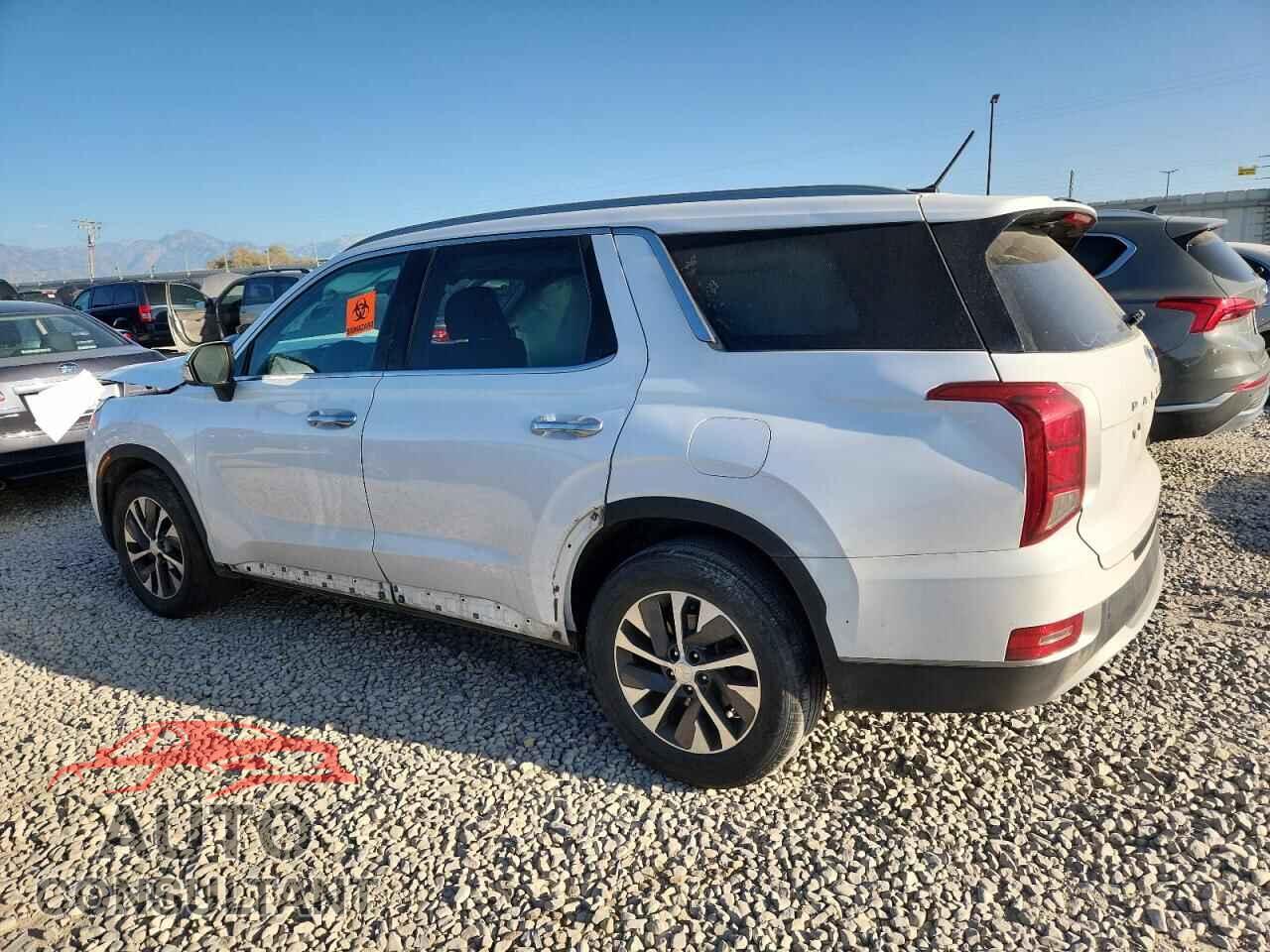 HYUNDAI PALISADE 2020 - KM8R2DHEXLU044881