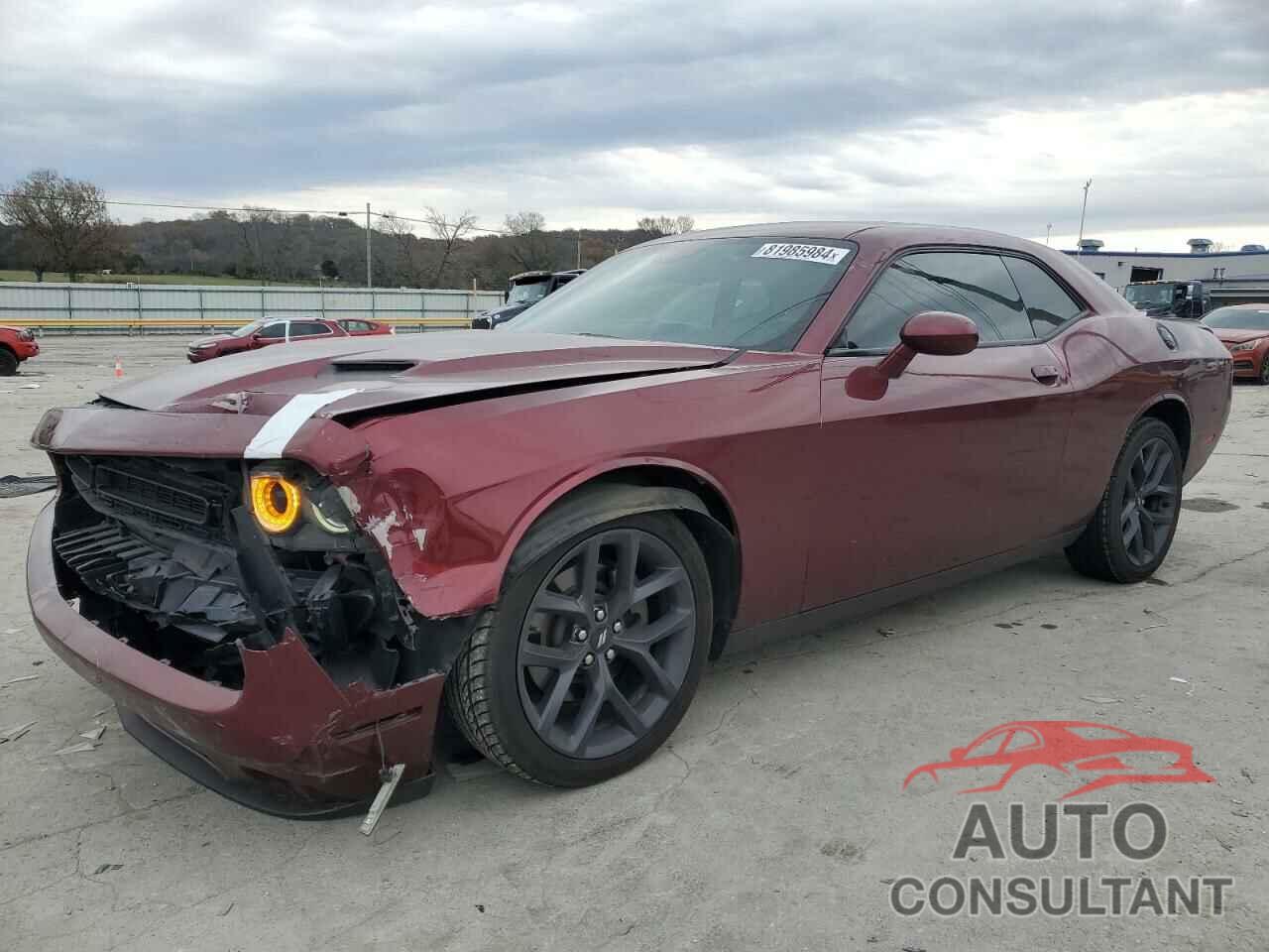 DODGE CHALLENGER 2019 - 2C3CDZAG5KH557300