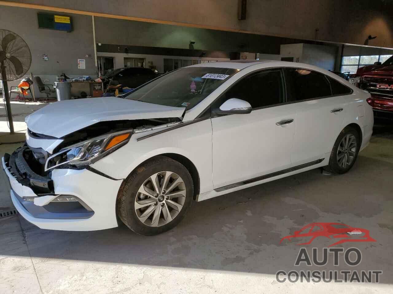 HYUNDAI SONATA 2016 - 5NPE34AF1GH428809