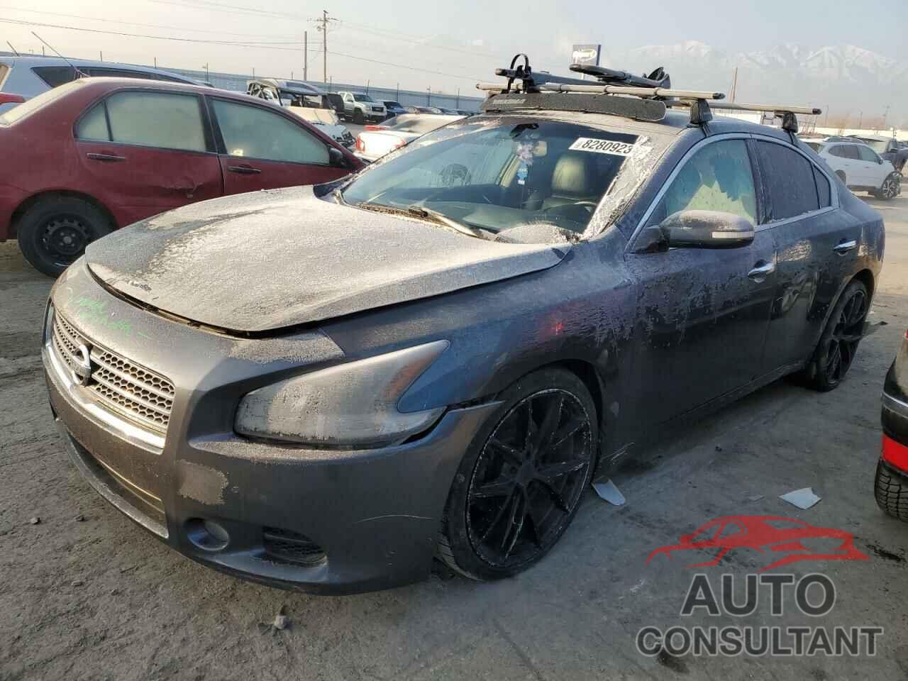 NISSAN MAXIMA 2009 - 1N4AA51E59C851320
