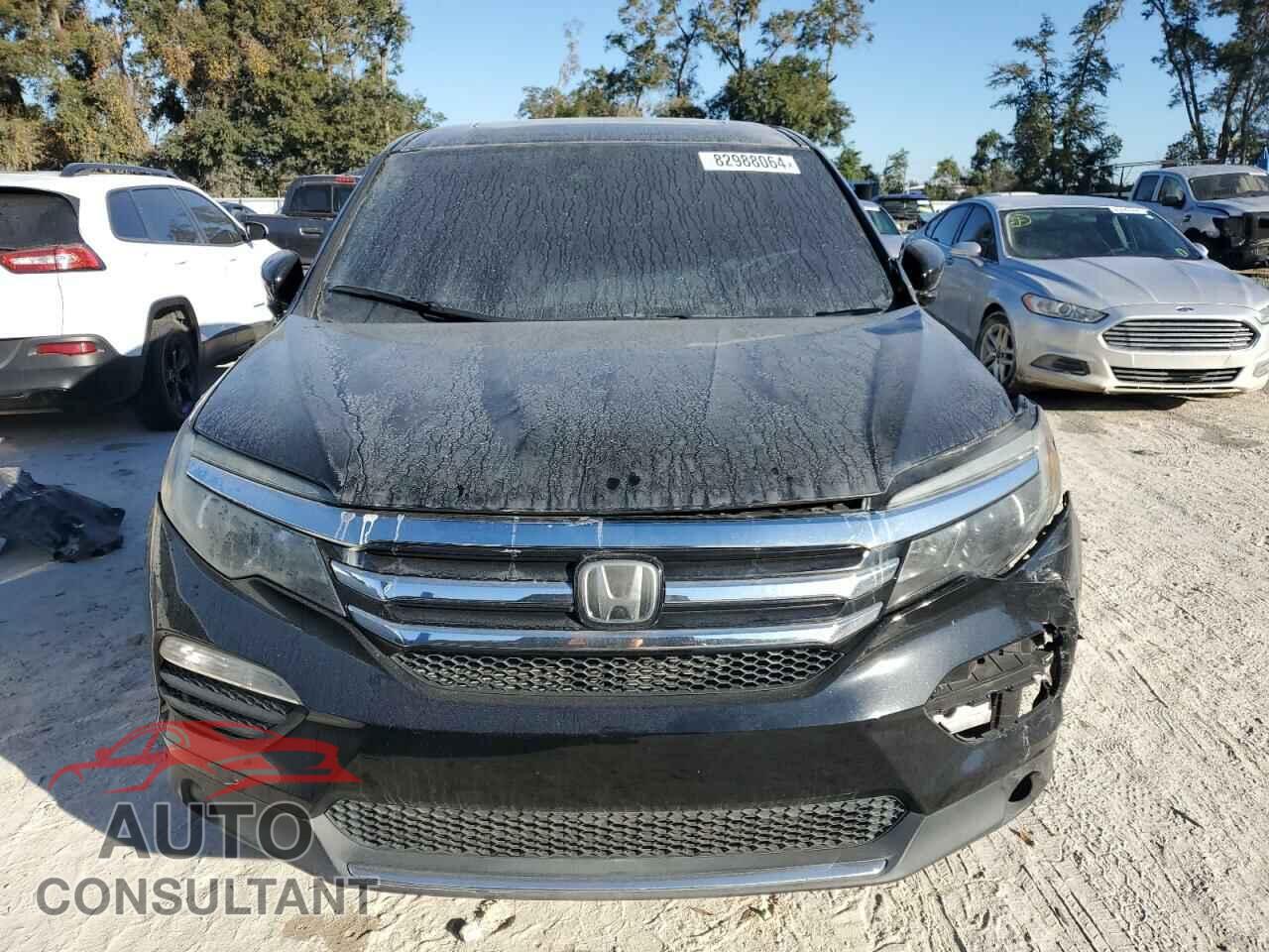 HONDA PILOT 2019 - 5FNYF6H61KB031002