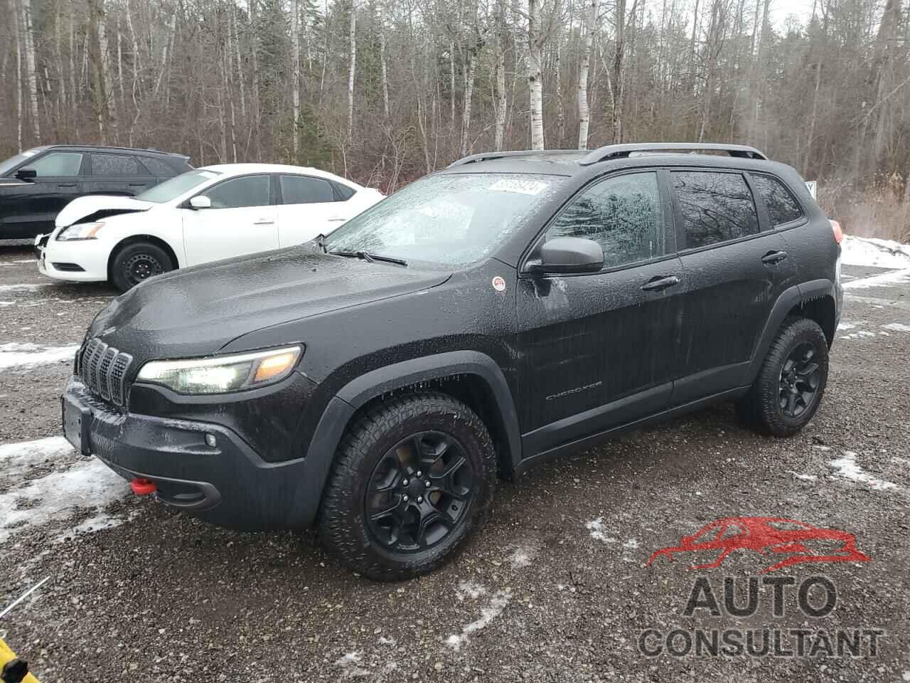 JEEP CHEROKEE 2019 - 1C4PJMBX3KD371775