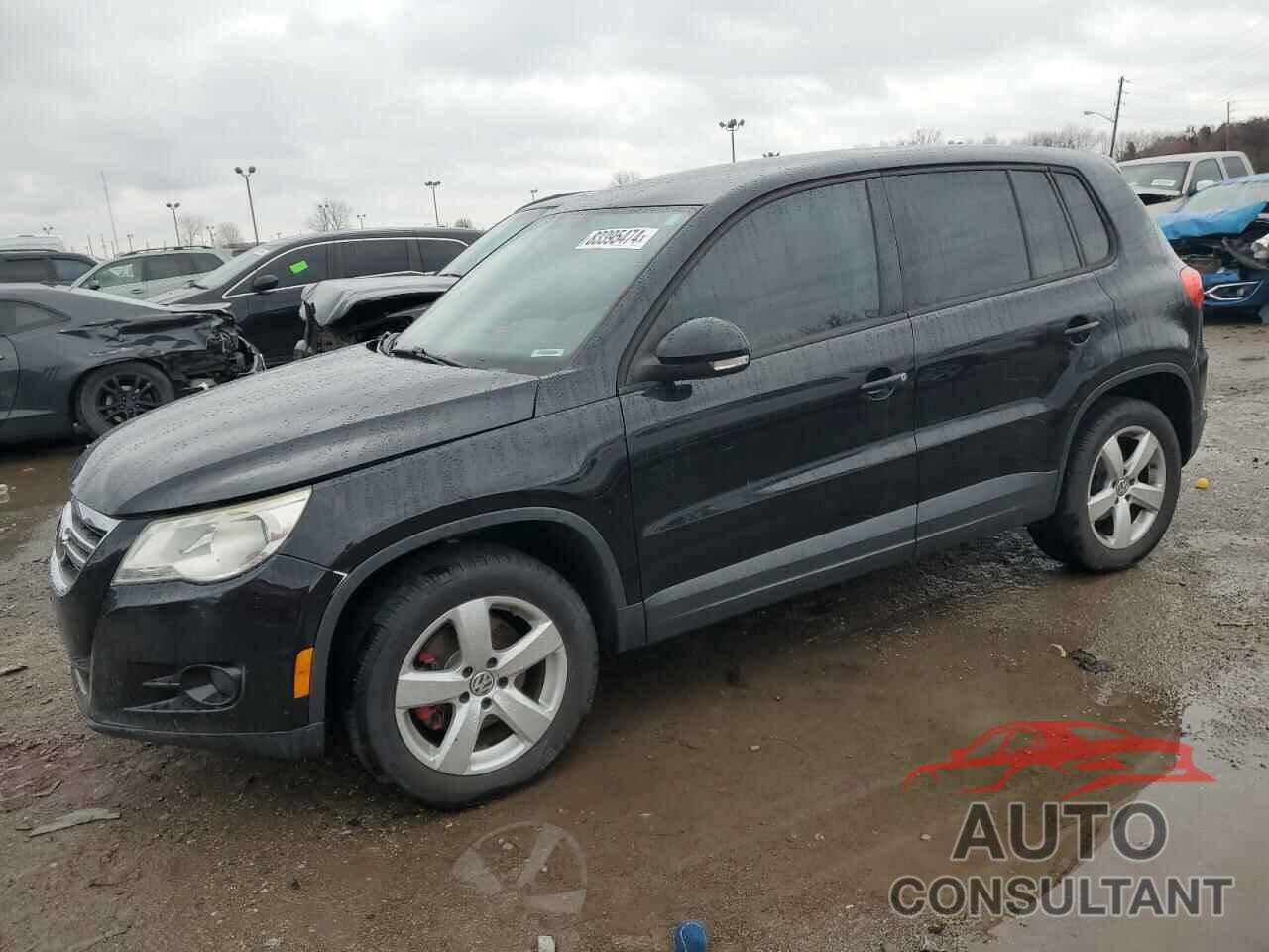 VOLKSWAGEN TIGUAN 2010 - WVGCV7AX3AW001513