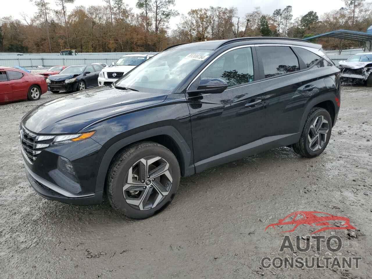HYUNDAI TUCSON 2023 - 5NMJFCAE5PH257261