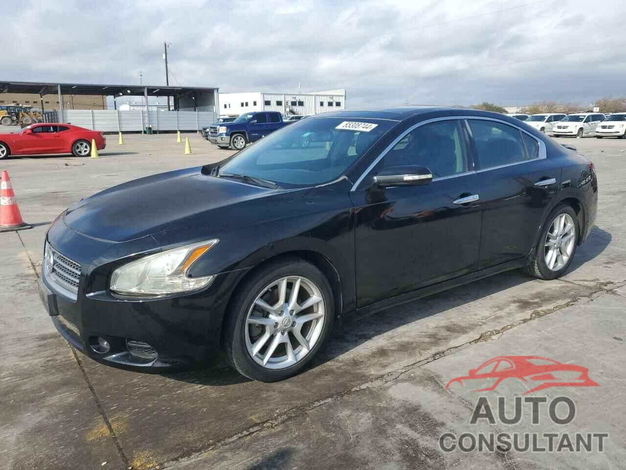 NISSAN MAXIMA 2009 - 1N4AA51E89C832244