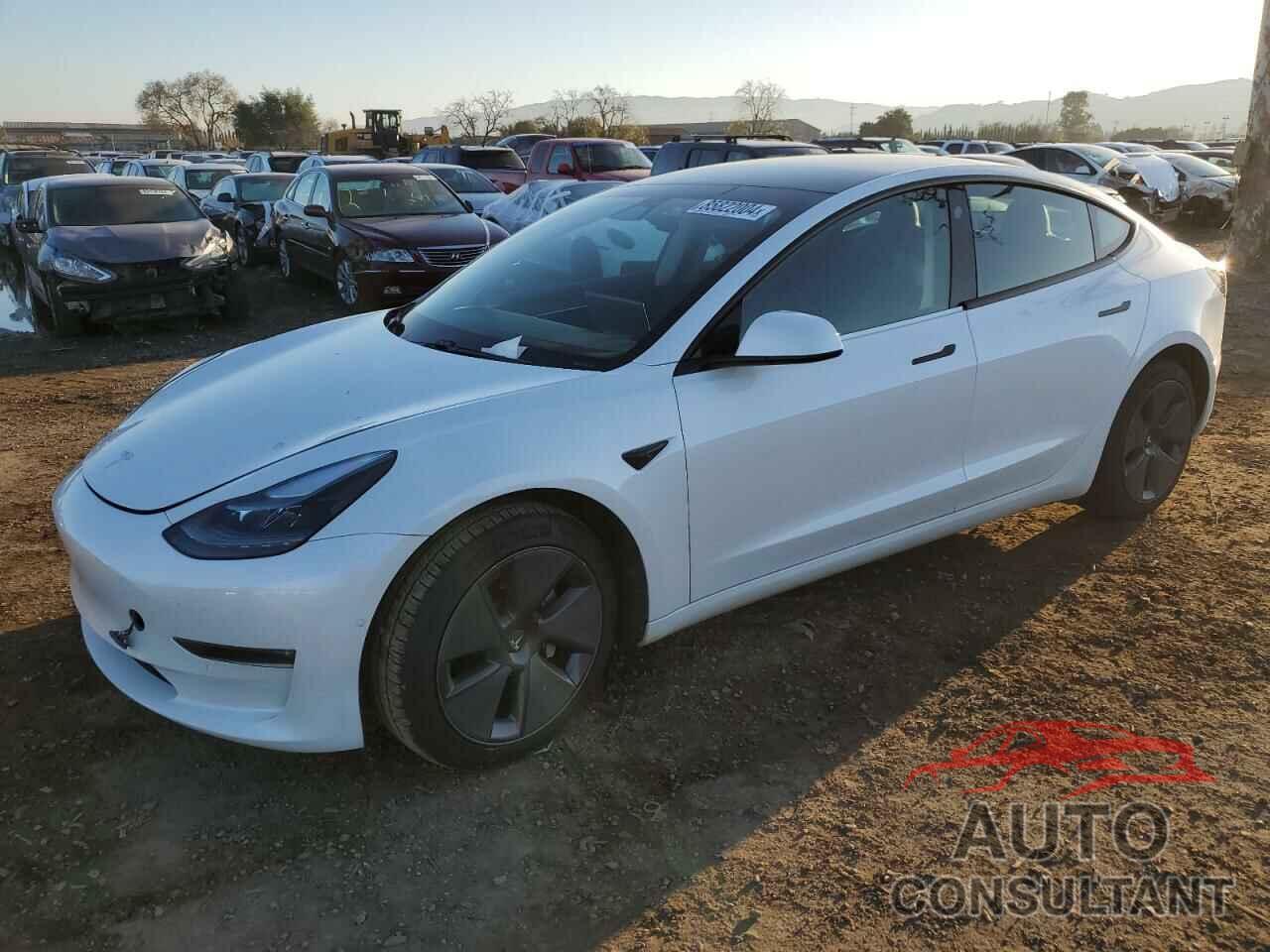 TESLA MODEL 3 2021 - 5YJ3E1EBXMF010041