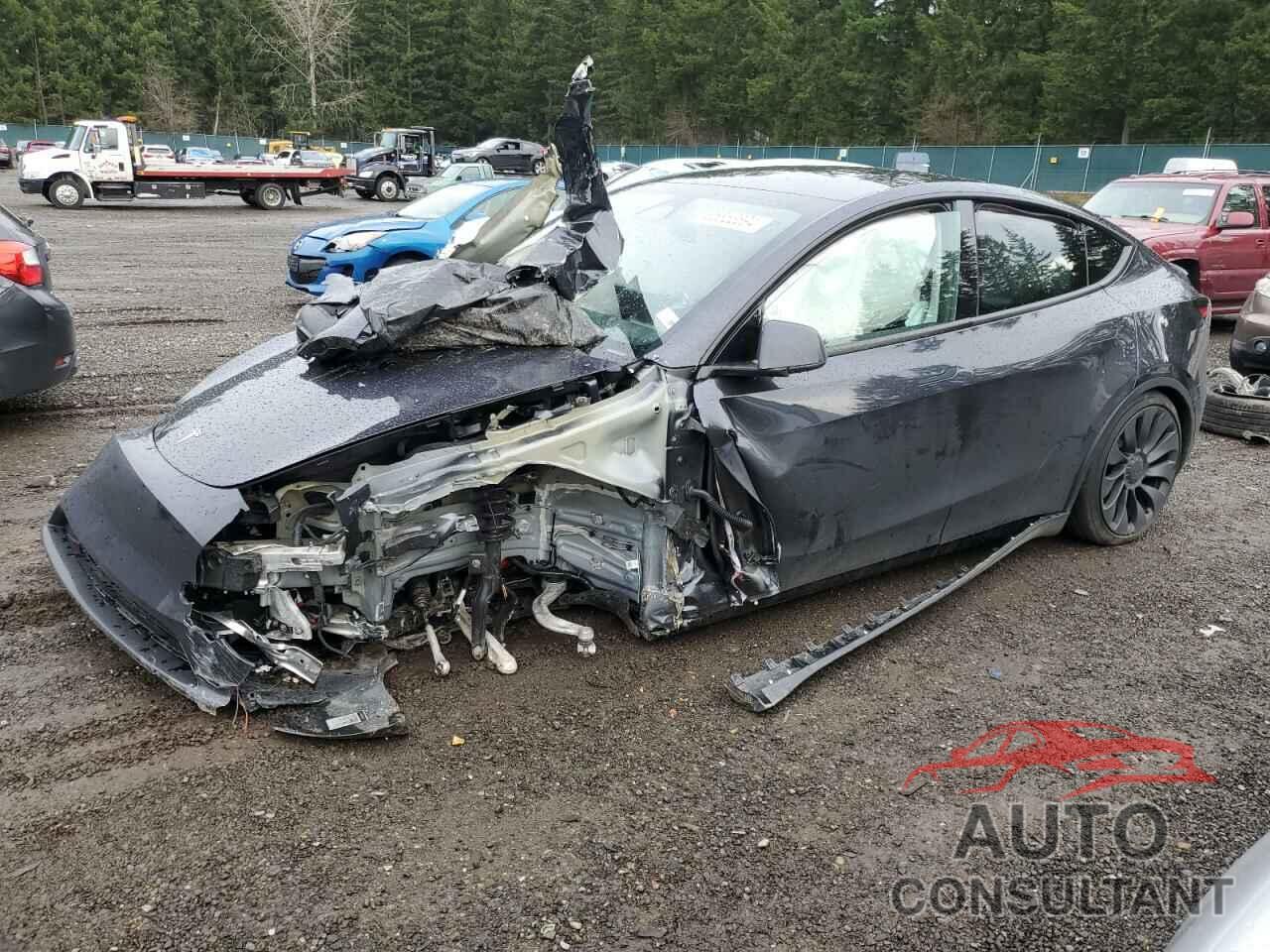 TESLA MODEL Y 2024 - 7SAYGDEF5RF163148